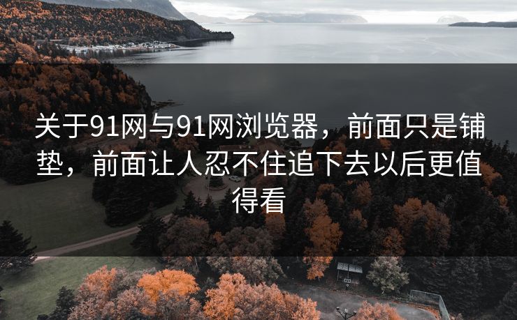 关于91网与91网浏览器，前面只是铺垫，前面让人忍不住追下去以后更值得看