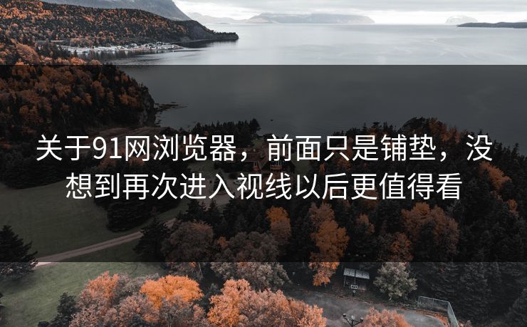 关于91网浏览器，前面只是铺垫，没想到再次进入视线以后更值得看